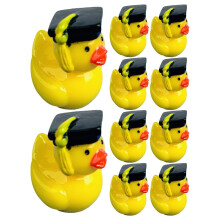 10 stuks hars minifiguren Tiny Things poppenhuis dieren micro eend landschap beeldje geel