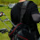 Golf Bag Shoulder Strap, Single Padded Adjustable Straps Universal Replacement 7