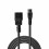 Lindy 2m IEC C14 to IEC C5 Cloverleaf Extension Cable 2