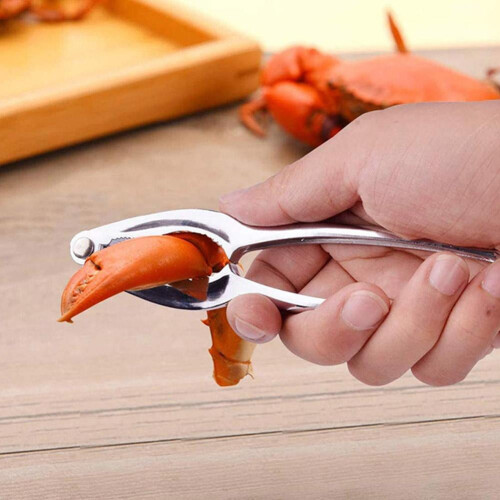 Ensemble de 4 pinces à pinces à crabe en acier inoxydable 2