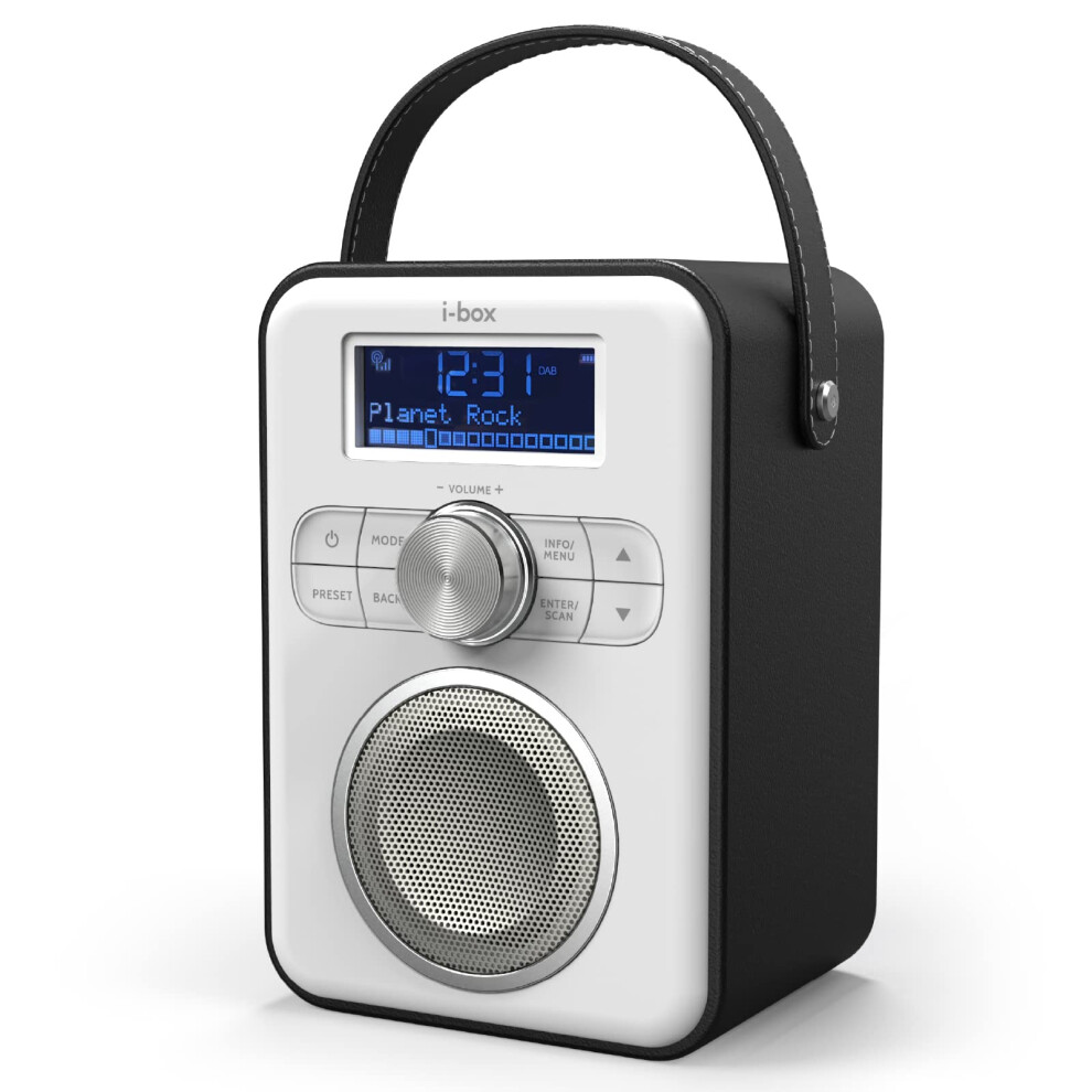 Dab Radio Portable, Dab/Dab Plus Radio, Fm Radio, Portable Bluetooth Speaker, Digital Radio With Usb Charging For 10 Hours Playback, Bluetooth Stereo 88580548