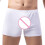 Herren-Boxershorts, elastischer Bund, atmungsaktiv, einfarbig 4