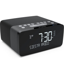 Pure P154501 Siesta Charge Bluetooth DAB+/DAB/FM Digital Radio Alarm Clock - Bedside DAB Radio with Qi Wireless Charging Pad for Smartphones and Crys