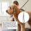 KCT KCT Standard Hydraulic Adjustable Dog Grooming Table 7