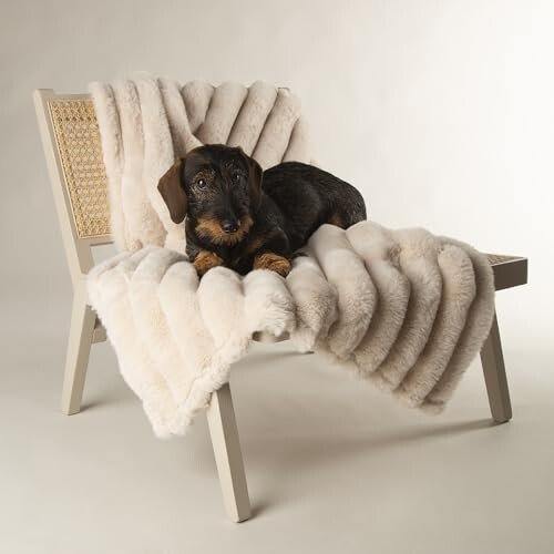 Scruffs Scruffs Aspen Dog/Pet Blanket 1