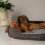 Scruffs Scruffs Cosy Box Bed 75x60 Grey 3