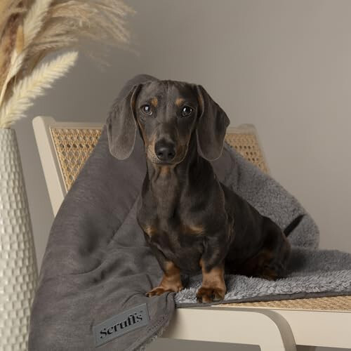 Scruffs Scruffs Cosy Blanket Grey 110x75cm 2