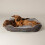 Scruffs Scruffs Cosy Box Bed 75x60 Grey 2