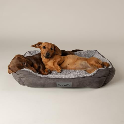 Scruffs Scruffs Cosy Box Bed 75x60 Grey 1
