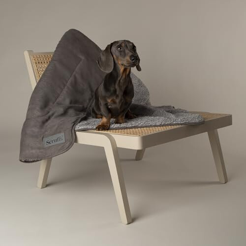 Scruffs Scruffs Cosy Blanket Grey 110x75cm 1
