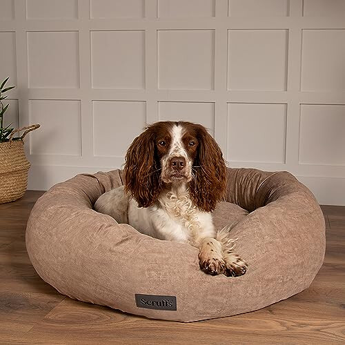 Scruffs Scruffs Oslo Ring Bed (XL), 75cm, Desert Sand 1