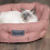 Scruffs Scruffs Seattle Small Dog/Cat Bed 2