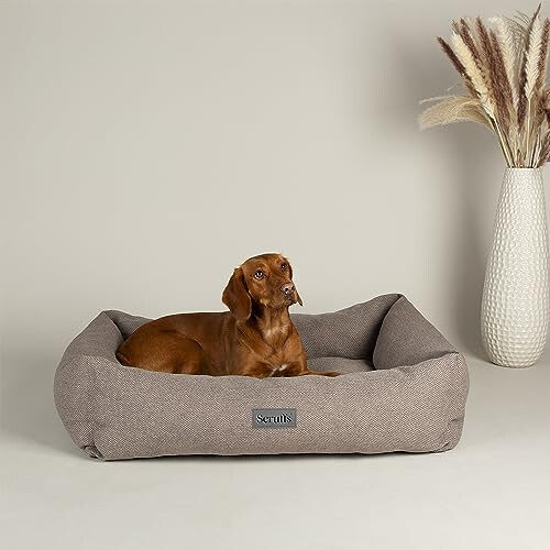 Scruffs Scruffs Seattle Dog or Cat Box Bed (M) 1