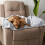 Bone Dry Embossed Bone Print Pet Blanket, 36x48, Gray 5