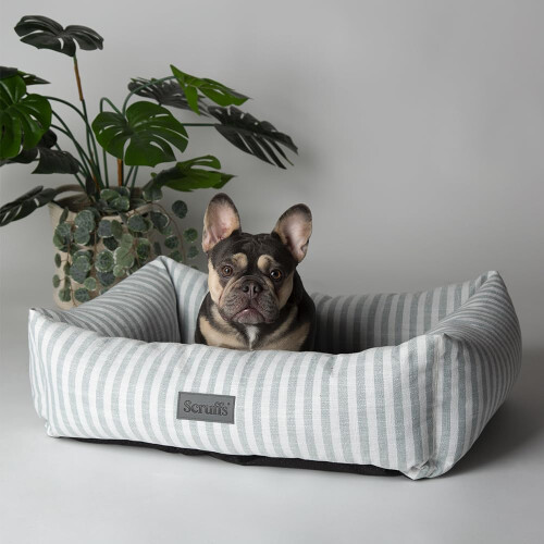 Scruffs Scruffs Coastal Dog/Pet Box Bed (L)