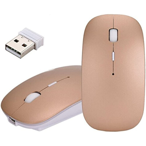 Wireless Mouse,2.4G Slim Rechargeable Wireless Mouse Mice with USB Receiver,3Adjustable800/1200/1600DPI Silent Mouse for PC Laptop Windows