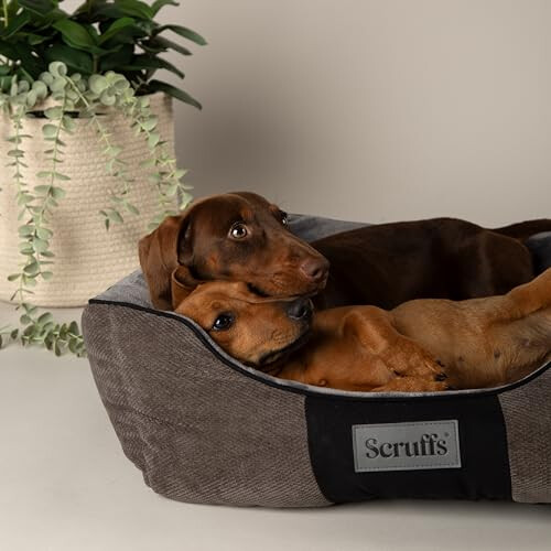 Scruffs Scruffs Chester Box Bed (S) Graphite 1
