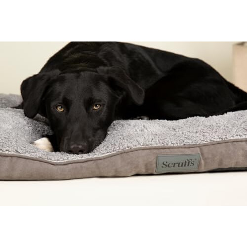 Scruffs Scruffs Cosy Dog Mattress, 100 x 70cm, Grey 1
