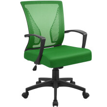 Office Chair Mid Back Swivel Lumbar Support Desk Chair, Height Adjustable Computer Ergonomic Mesh Chair with Armrest, Green