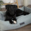Scruffs Scruffs Seattle Box Bed (M) 1