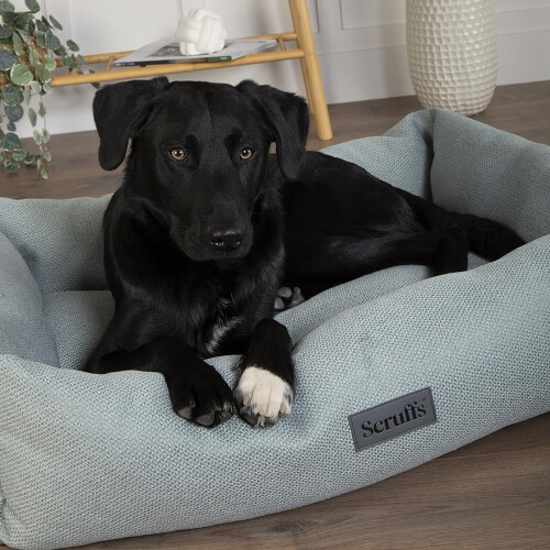 Scruffs Scruffs Seattle Box Bed (M)