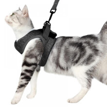 Katzengeschirr & Leine Set – Ausbruchsichere, weiche, verstellbare Weste, atmungsaktive, gestreifte Jacke, bequeme Outdoor-Weste zum