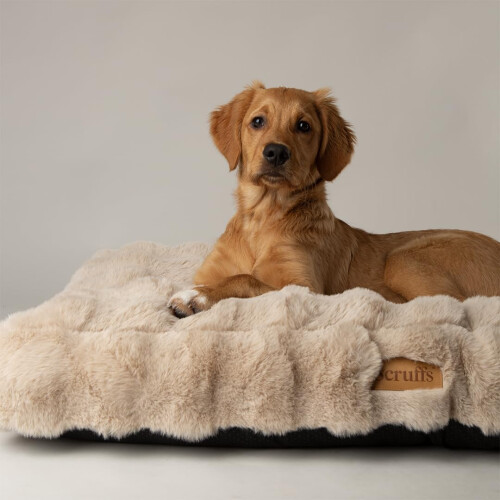 Scruffs Scruffs Luxury Alpine Dog Bed Mattress (M)