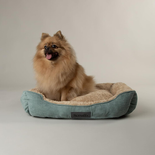 Scruffs Scruffs Cosy Dog Box Bed (M)