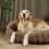 Scruffs Scruffs Luxury Alpine Box Bed For Dogs (XL) 1