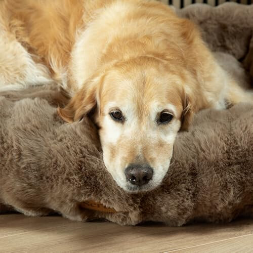 Scruffs Scruffs Luxury Alpine Box Bed For Dogs (XL) 2