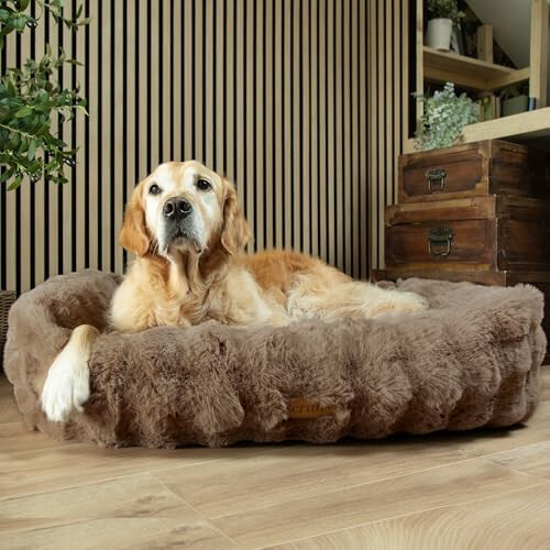 Scruffs Scruffs Luxury Alpine Box Bed For Dogs (XL) 1