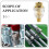 Inline Oiler for Pneumatic Tools Air Compressor Lubrication 7