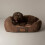 Scruffs Scruffs Chester Box Bed (S) Chocolate 3