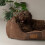 Scruffs Scruffs Chester Box Bed (S) Chocolate 2