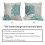 Capas de almofada para exterior Teal 24x24 polegadas (conjunto de 2) – Design de corais e estrelas-do-mar com inspiração costeira oceânica, 5