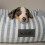 Scruffs Scruffs Coastal Dog/Pet Box Bed (M) 3
