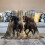 Κουβέρτα EastSmooth Gloping Horse Throw Δώρο για Κορίτσια Γυναικεία Φανελένια Αφράτα 2