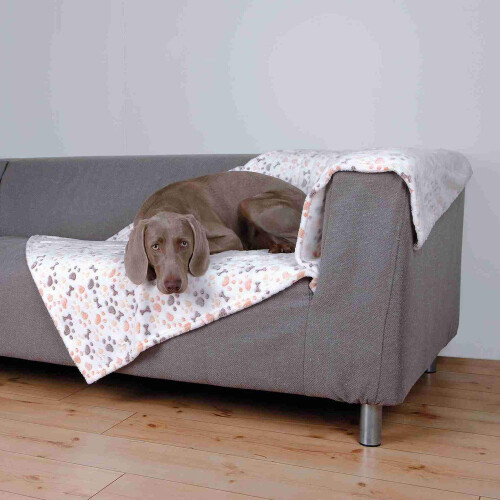 Trixie TRIXIE Lingo Blanket, 150 x 100 cm, White/Beige 1