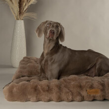 Scruffs Luxury Alpine Dog Bed Mattress (L)