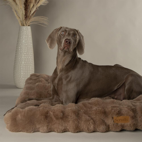 Scruffs Scruffs Luxury Alpine Dog Bed Mattress (L)