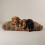 Scruffs Scruffs Luxury Alpine Dog Bed Mattress (M) 1