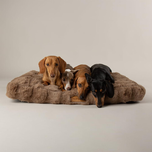 Scruffs Scruffs Luxury Alpine Dog Bed Mattress (M)