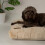 Scruffs Scruffs Luxury Oxford Dog Bed Mattress (M) 2