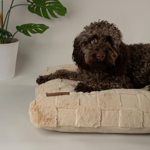 Scruffs Scruffs Luxury Oxford Dog Bed Mattress (M) 1
