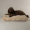 Scruffs Scruffs Luxury Oxford Dog Bed Mattress (M) 1