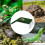 Plataforma para tartaruga tomar sol com ventosa e escada. 2