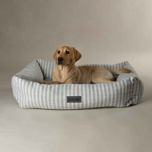 Scruffs Scruffs Coastal Dog/Pet Box Bed (XL)