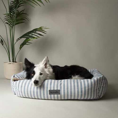 Scruffs Scruffs Coastal Dog/Pet Box Bed (XL)