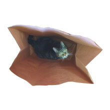 Cat FurNature - Catnip Attack Bags