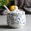 Sugar Bowl with Lid and Spoon, Ceramic Sugar Container 200ml White Jar for Kitchen Storage 3